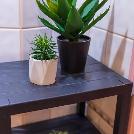 The Cozy Hub, * فارنا